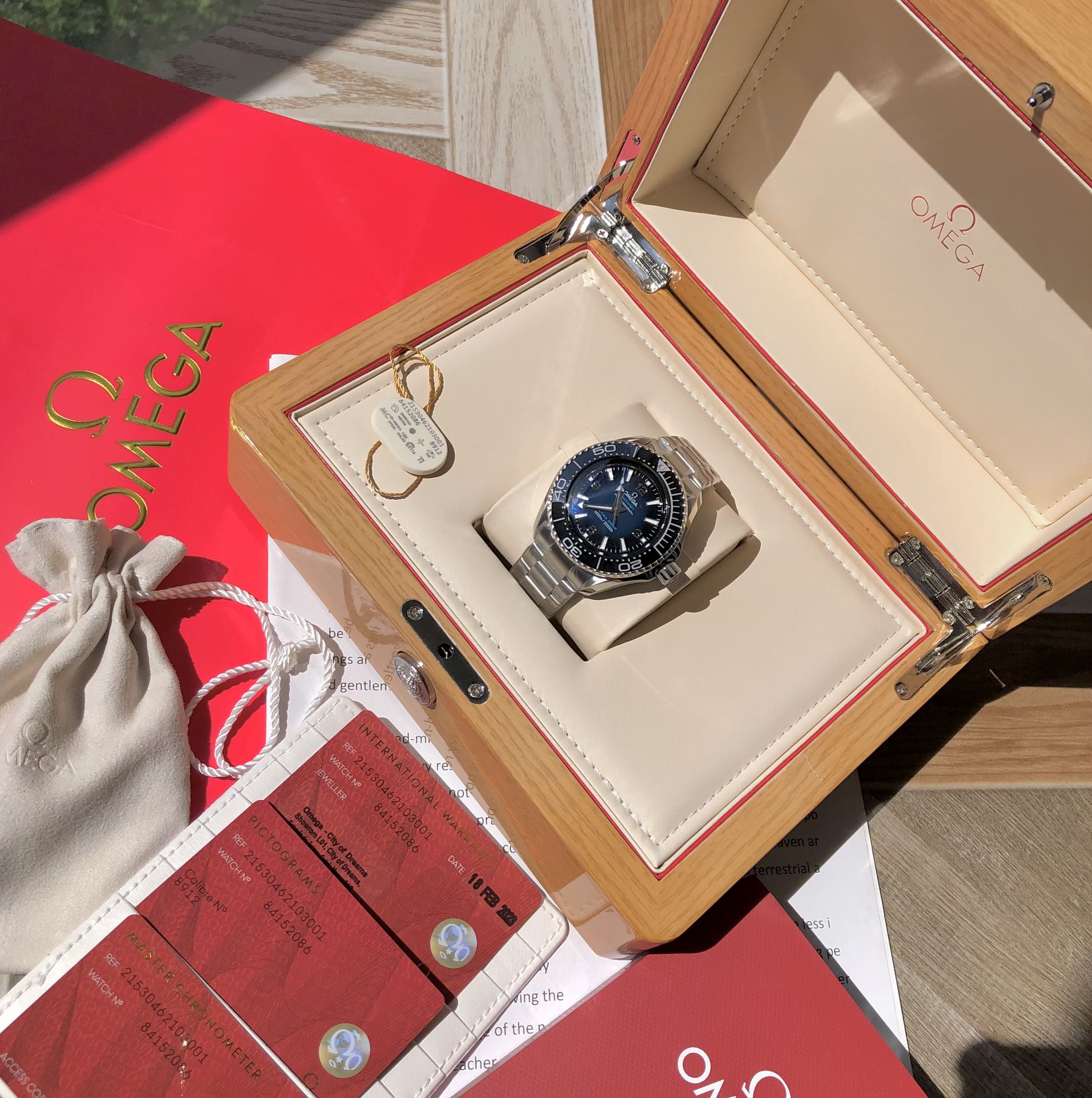 Omega Seamaster Planet Ocean